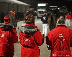 Stallion viewing in Denmark :: Photo © Ridehesten.com