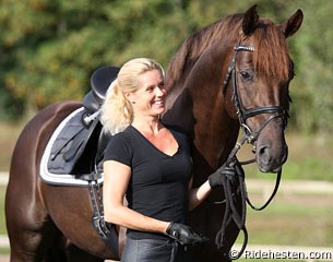 Skovens Rafael (by Romanov x Don Schufro) is a gorgeous, eye catching liver chestnut stallion with an amazing temperament and extraordinary rideability which he passes on to his offspring