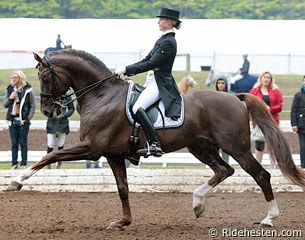 Lotte Skjaerbaek and the Danish warmblood licensed premium stallion Skovens Rafael (by Blue Hors Romanov x Blue Hors Don Schufro) :: Photo © Ridehesten.com