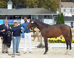 Francheska AH (by Fielding x Maurice) :: Photo © Hoof Print Images