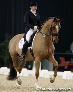 Swedish Michelle Hagman on the drop dead gorgeous Trakehner Rudi's Memory (by Gribaldi)