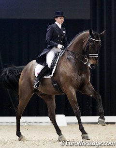 British Sarah Millis on the Australian bred Holsteiner HP Frontier (by Falkrich)