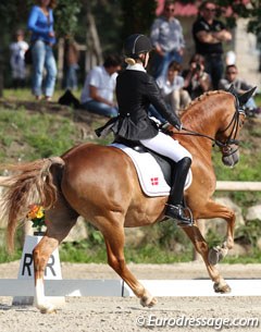 Danish Kristine Koch Bejstrup on Dornick Son. Koch will be competing a second FEI pony next year, Morgan Barbancon's former FEI pony Don't Forget.