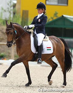 Esther Neel and Antares at the 2012 European Pony Championships in Fontainebleau :: Photo © Astrid Appels