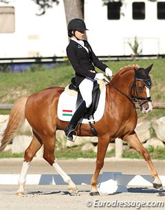 Reka Zengo's Ponyto often had his tongue sticking out of his mouth in front
