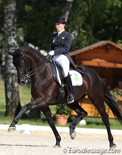 Another Don Frederico x Warkant veering between genius and madness. The black mare refused to enter the arena. After a few minutes Elin got her going and did a reasonable test. This mare is one of the most talented horses at the show!