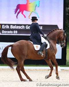 Spanish Erik Balasch Gonzalez on the Westfalian Dorado