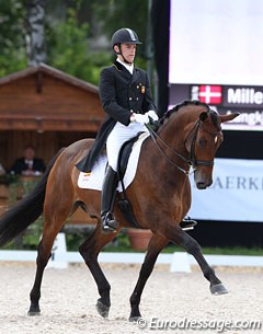 Spanish Andreu Busutil Canovas on the Oldenburg Don Luka (by Don Larino). The pair had quite a few irregularities in trot but executed very strong canter work