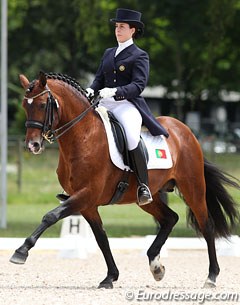 Portuguese individual rider Ana Filipe Carneiro on the Lusitano Treinado