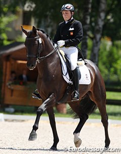 Luis Cerrillo Sopena and Saturday Night Fever at the 2012 European Junior/Young Riders Championships :: Photo © Astrid Appels