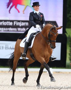 Norwegian Charlotte Finjarn on the Danish warmblood gelding Svalegaardens Walk on Water (by Walt Disney I x Akinos)