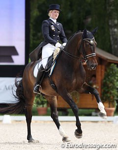 Another Swedish top horse: Tove Melin's Dawson (by Dark Rubin x Akzent II)