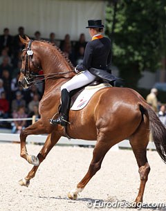 Dutch Michelle van Lanen finished her young riders career with her last YR freestyle on Urchin B (by Jazz). The pair ranked 8th