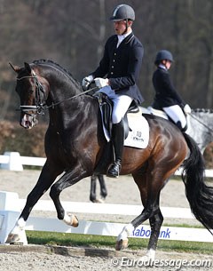 Lennart Bos on the gorgeous Crespo (by Vivaldi x San Remo). The bay stallion still needs to gain in strength behind and has a tendency to be more active behind with his right leg. He had a very good walk with much overstep