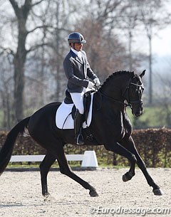 Ferenc Damen on Cayenne (by Johnson x Rousseau). The black stallion appeared a bit green and unfocused but definitely has much potential and room for growth