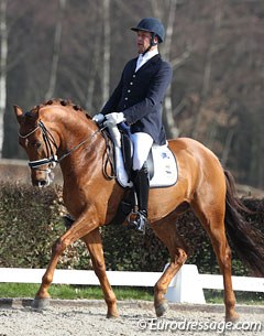 Marcel Heykamp on Captain Cooks (by Johnson x Dublin). The cute, compact chestnut gelding lacked stretch in the body and was ridden with too much collection. If he were to stretch more the total image would be much more appealing