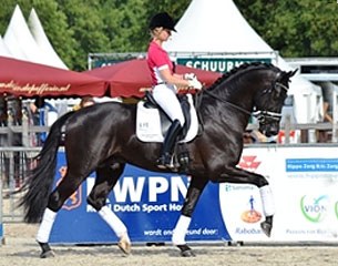 Eva Möller test-riding Desperado at the 2012 Pavo Cup Finals :: Photo © Sandra Karman for KWPN