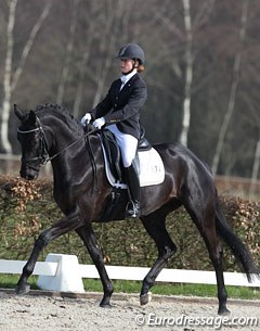 Shani Pitcho on the gorgeous black mare Chireine (by Painted Black x Cabochon x Maestro) who was quite spooky and impressed by her surroundings