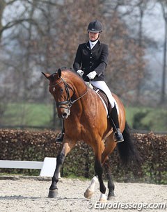 Emma van den Hooven on Beaumonde (by United x Fruhling). The bay was well presented and showed an active hindleg in trot. The walk had much understep but was limited in shoulder freedom. The flying changes were a bit plain