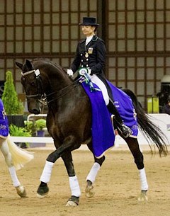 Louisa Hill and Antonello at the 2012 New Zealand Dressage Championships :: Photo © Libby Law