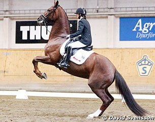 Minna Telde's UNO Samantha was very nervous in the second round. "She wanted to crawl out of her own skin," the rider commented.