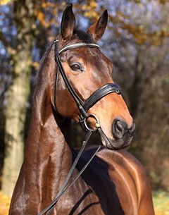 Revolverheld B (by Rubin Royal x Ataturk x Cavalier)