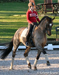Erin on her junior rider's horse Fleurie (by Florestan x Akzent II)