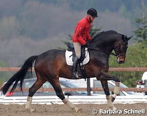 Because Isabell Werth had to attend the funeral of Count Dieter of Landsberg-Velen, Matthias Bouten rode Laurenti (by Laurentio x Walldorf) 