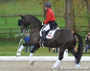 Dujardin warming up Valegro