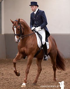 Michel Toussaint and Workington at the 2012 CDN Hasselt :: Photo © Sarah Janssens