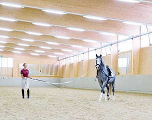 A Lippizaner being trained at the Heldenberg Training Center