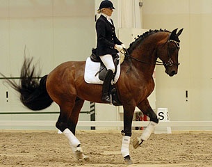 Taina Rajala on Kiahan Renard at the 2012 Helsinki Horse Fair :: Photo © Sallis Lindqvist