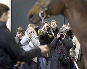 The 2012 KWPN-NA Annual Meeting in The Netherlands was an educational experience :: Photo © Sandra Nieuwendijk