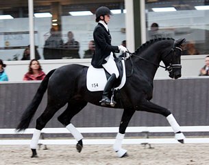 Sharon Loeffen on Dundee M (by Lord Leatherdale x Sandro Hit) :: Photo courtesy KWPN Limburg