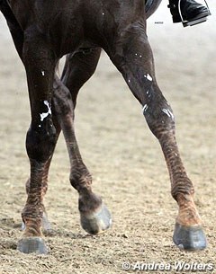 Wrinkled hair on legs in a half pass