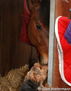 Higgins and De Vito greet each other