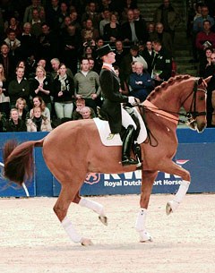 Adelinde Cornelissen and Parzival at the 2012 KWPN Stallion Licensing :: Photo © www.kwpn.nl