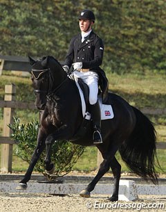 Daniel Busbridge on the Oldenburg bred Regal Destiny