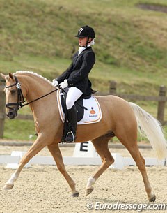 Theo Diabolo at the 2012 CDI-P Leudelange :: Photo © Astrid Appels