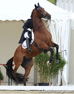 Jill Huybregts' Zamacho was scared to go into the windy arena in Leudelange