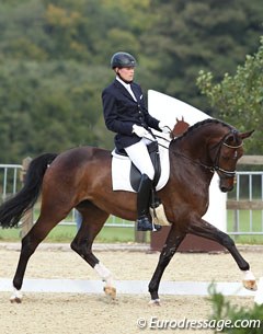 Henri Ruoste and Rosamunde at the 2012 CDI Leudelange :: Photo © Astrid Appels