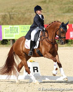 Stefanie Verkooijen on the Belgian warmblood Anais van het Meierhof