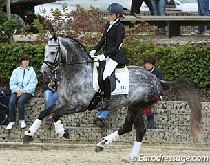 Katrien Verreet warming up Galliani Biolley (by Sir Donnerhall x Lanciano)