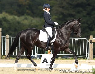 Spanish-Dutch Andrea Villaverde on the Dutch bred Cartier (by Don Frederico)