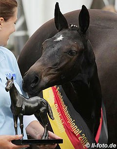 The champion filly by Quintender