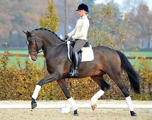Velvet Touch (by Valdez x Haarlem) :: Photo © Tanja Becker