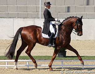 Uta Gräf and Damon Jerome win the Nurnberger Burgpokal qualifier in Mannheim