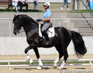 Uta Gräf on the Holsteiner stallion Le Noir