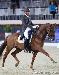 Patrick van der Meer on his talented Karolus van Wittenstein (by Krack C)