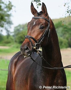 Botschafter (by Impetus x Michelangelo) :: Photo © Peter Richterich